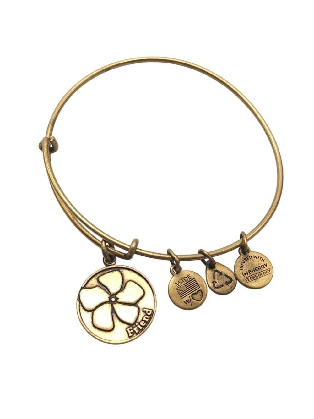 Alex And Ani 2014 Gold-Tone Charm Bracelet With "Friend" Flower Pendant